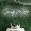 Crazy in Love Neon Sign Perfect for Creating a Loving Atmosphere