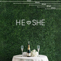 He and She Neon Sign Perfect For Creating A Loving Atmosphere