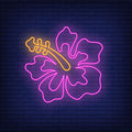 Hibiscus pink neon sign