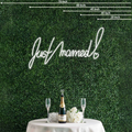 Just Married Neon Sign Perfect for Creating a Loving Atmosphere