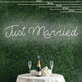 Just Married Neon Sign