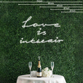 Love is in the air Neon Sign Perfect For Creating A Loving Atmosphere