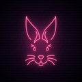 Rabbit Neon Sign