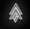 Company Logo Neon Sign 12x18 inches