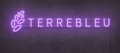 Terrebleu Neon Sign 46x10 inches