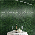 You Are My Dream Neon Sign Perfect for Creating a Loving Atmosphere